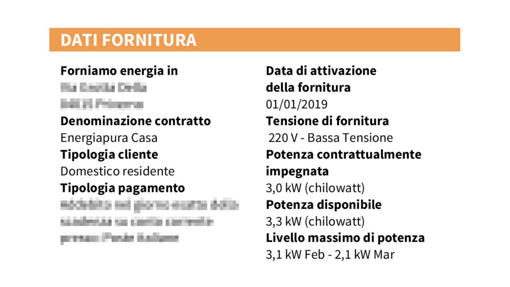 Fac Simile bolletta luce dati della fornitura